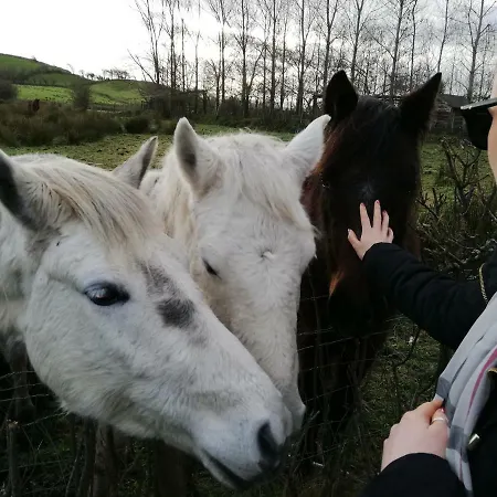 Nyaraló Yellow House