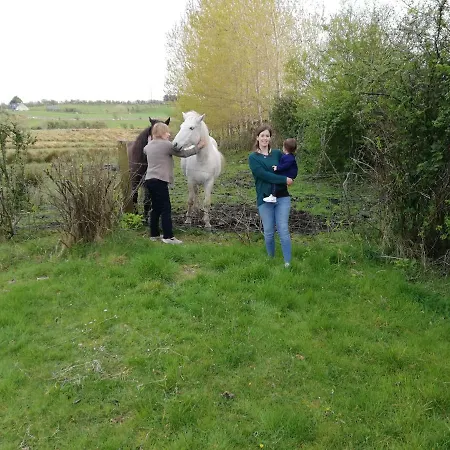 Yellow House Westport