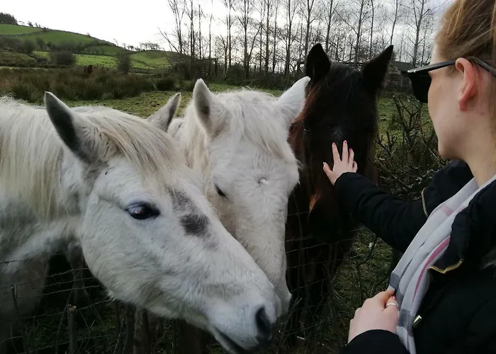 Дом отдыха Yellow House