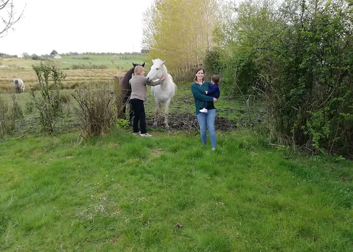 Yellow House Вэстпорт