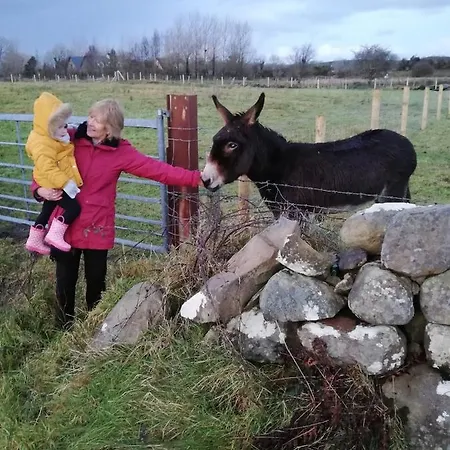 Yellow House Holiday home