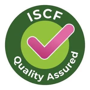 Yellow House 韦斯特波特