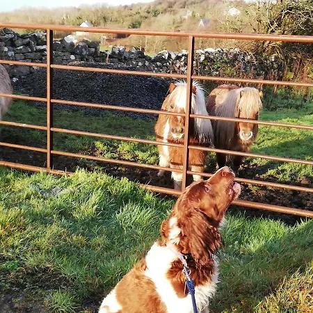 Yellow House 度假居