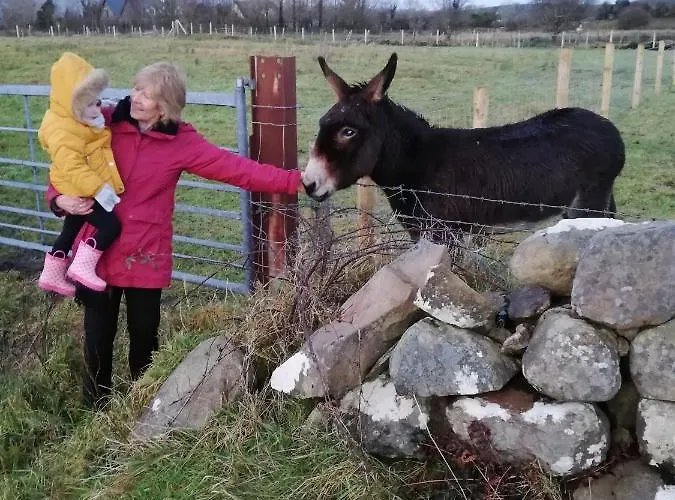 Yellow House Holiday home