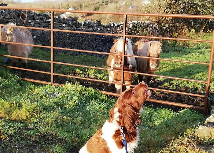 Yellow House Casa de Férias
